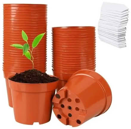 Photo of Seed Modules/Small Plant Pots (Prestwood) #2