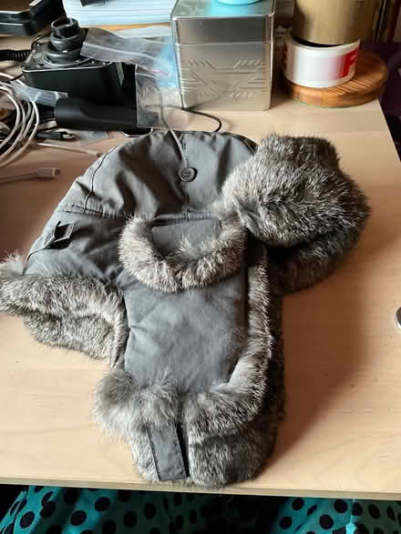 Photo of free Trappers hats (Liss Forest GU33) #2