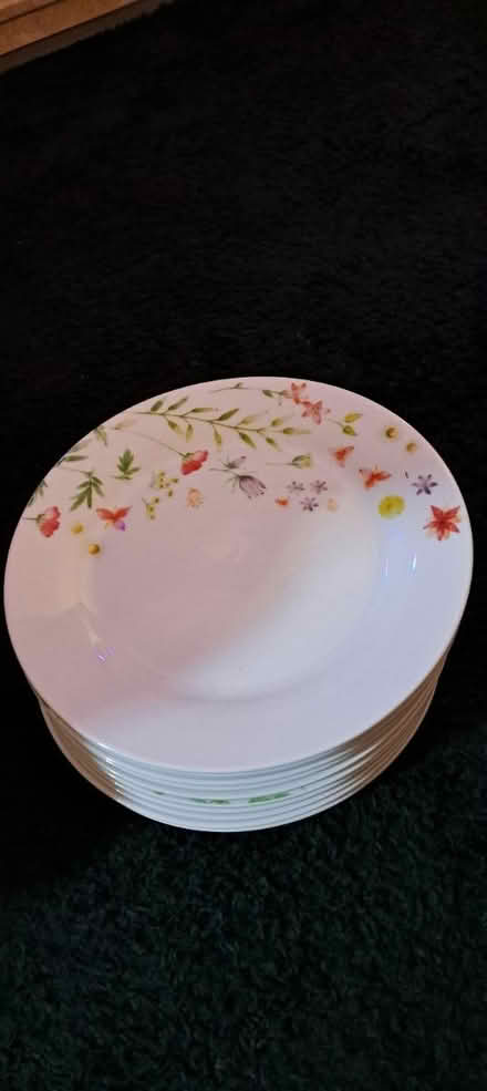 Photo of free 12 Matching Dinner Plates (Anstey LE7) #1