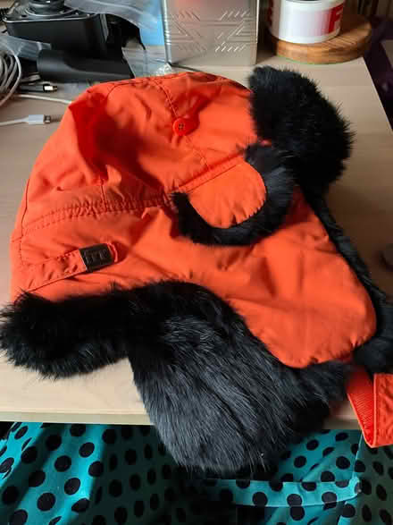 Photo of free Trappers hats (Liss Forest GU33) #3