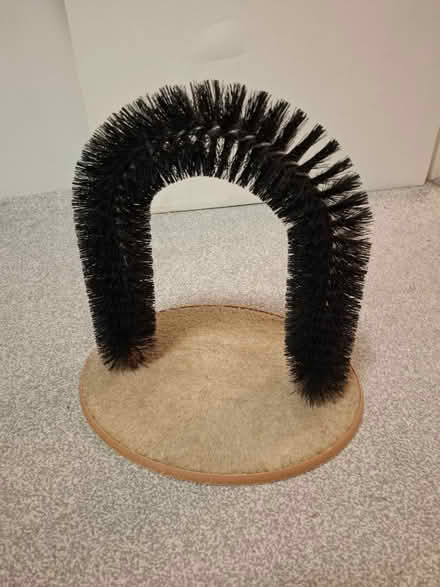 Photo of free Cat scratcher (Bow) #1