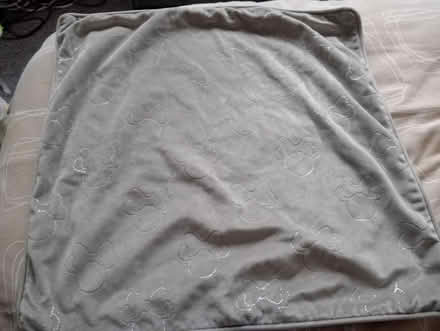 Photo of free Minnie mouse cushion cover (Loughborough LE11) #1