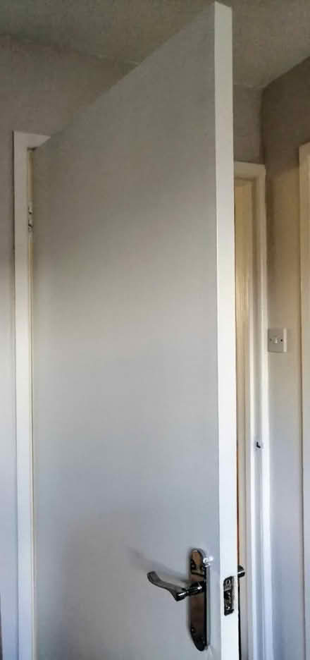 Photo of free Internal Door (Holywood) #1