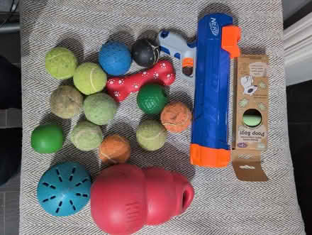 Photo of free Tennis balls and dog toys (Oswestry SY11) #1