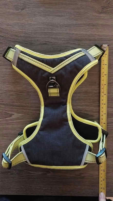 Photo of free Dog Harness... No Lead (St Albans Jersey Farm AL4) #1