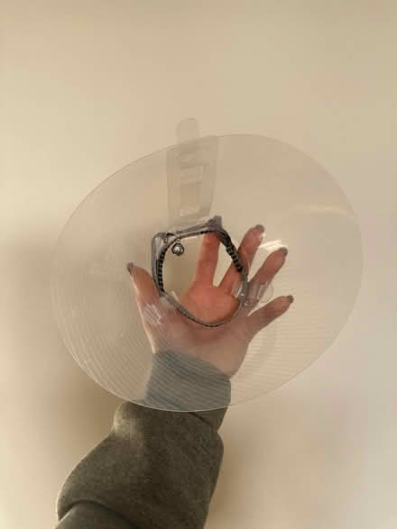 Photo of free Kitten neck guard + collar with bel (Newbury Park IG2) #1