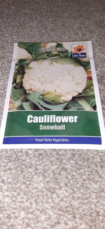 Photo of free Packet of cauliflower seeds (Clitheroe BB7) #1