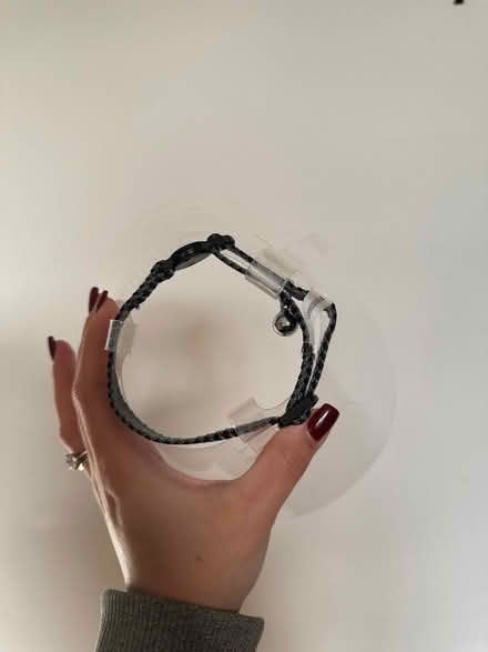 Photo of free Kitten neck guard + collar with bel (Newbury Park IG2) #3