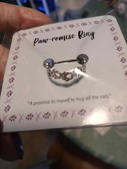 Photo of free Adjustable cat ring (Woburn south) #1