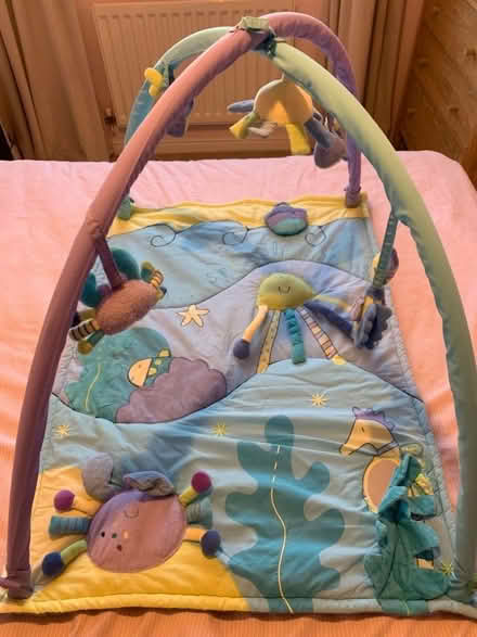 Photo of free Baby’s Playmat (Crook DL15) #1