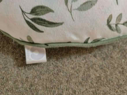 Photo of free Feeding pillow (Ng15dn, the park, nottingham) #2