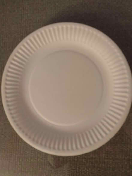 Photo of free Paper plates small approx 10 (Ashton-U-Lyne OL6) #1