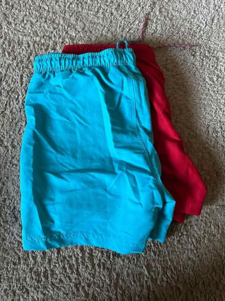 Photo of free Swim shorts Large (Sanderstead) #1