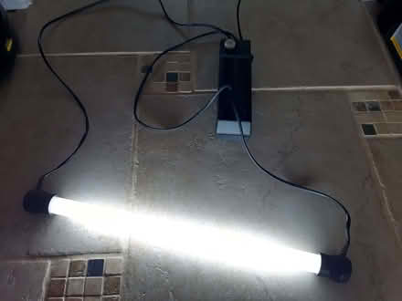 Photo of free terrarium vivarium lamp (Iron Acton BS37) #2