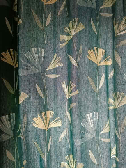 Photo of free Dunelm curtains, plus rail and fixings if (Streatham Hill SW2) #2