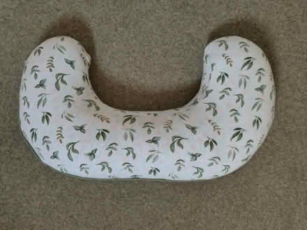 Photo of free Feeding pillow (Ng15dn, the park, nottingham) #1