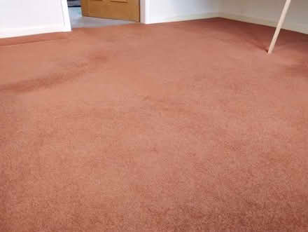 Photo of free Carpet (Highburton HD8) #2