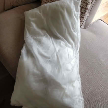 Photo of free Pillow ideal for pet bedding (Tupsley HR1) #1