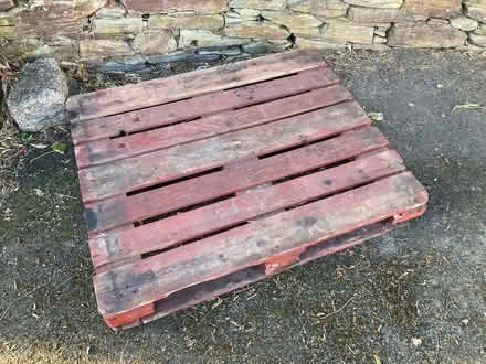 Photo of free Pallet (St Teath PL30) #1