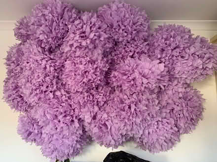 Photo of free Pom poms (Romsey) #1