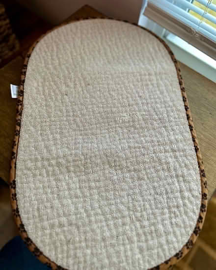 Photo of free Pet Feeding Mat (Owings Mills,MD) #1