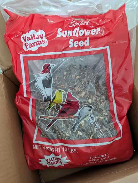 Photo of free Bird Food - Sunflower Seeds (East Watertown, near Filipello) #1