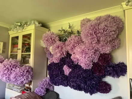 Photo of free Pom poms (Romsey) #3