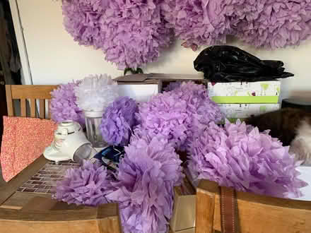 Photo of free Pom poms (Romsey) #2