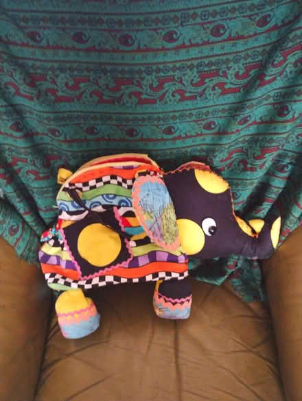 Photo of free Elephant bag (LE11 1PU loughbourough) #1