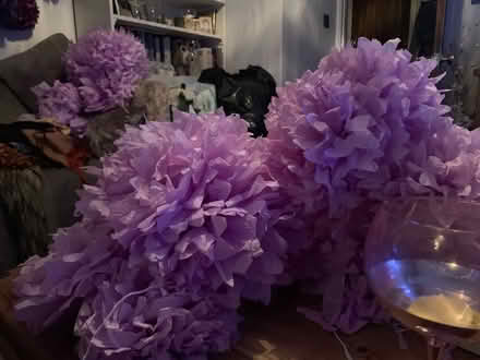 Photo of free Pom poms (Romsey) #4