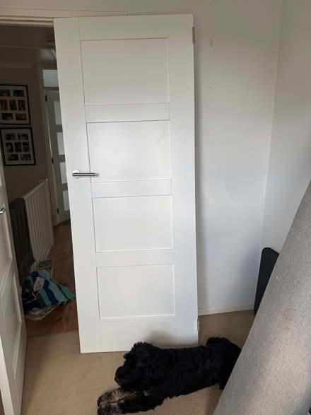 Photo of free White 4-panel shaker style internal door (Stroud Green N4) #1