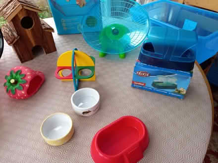 Photo of free Hamster accessories (Canvey SS8) #2