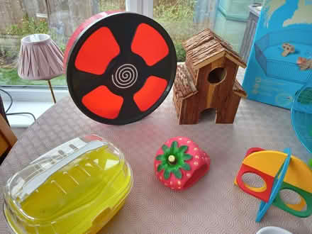 Photo of free Hamster accessories (Canvey SS8) #3