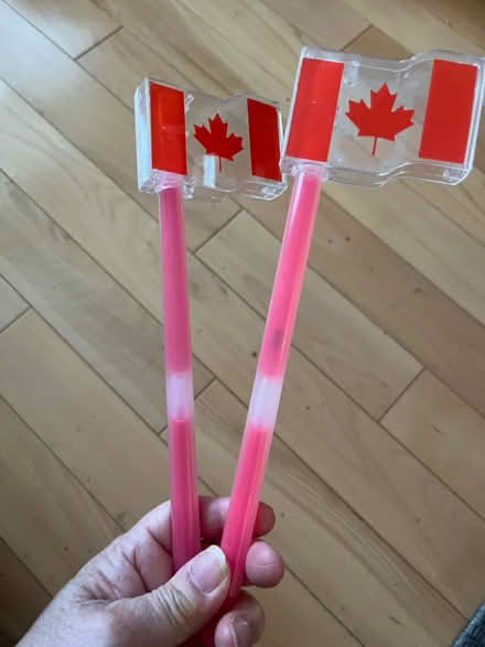 Photo of free Plastic Canada flags (Orléans) #1