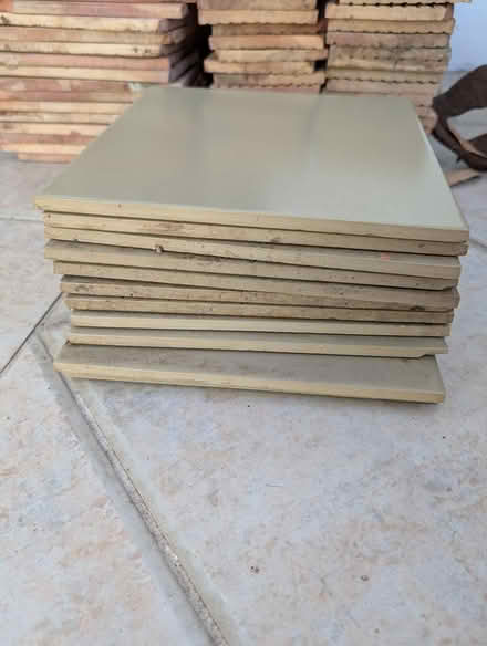 Photo of free Vintage Light Green Square Tiles (Hunters Hill, NSW) #2