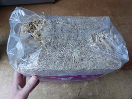 Photo of free Straw bale (Horsham, RH13) #2