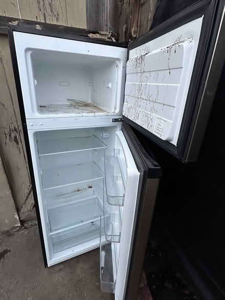 Photo of free Refrigerator and glass coffee table (Newark) #3