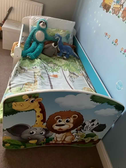 Photo of free Kids Bed & Drawer 160 x 80cm (Dronfield Woodhouse, S18) #1