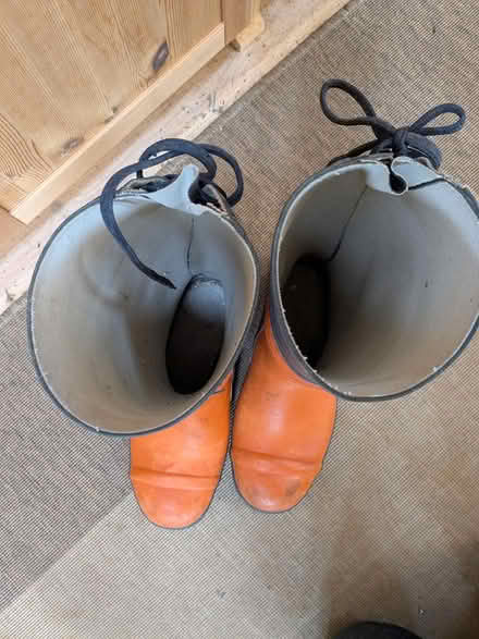 Photo of free Chainsaw Safety Boots (Llangarron HR9) #4