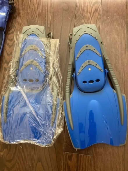 Photo of free Set of flippers (Etobicoke North) #2