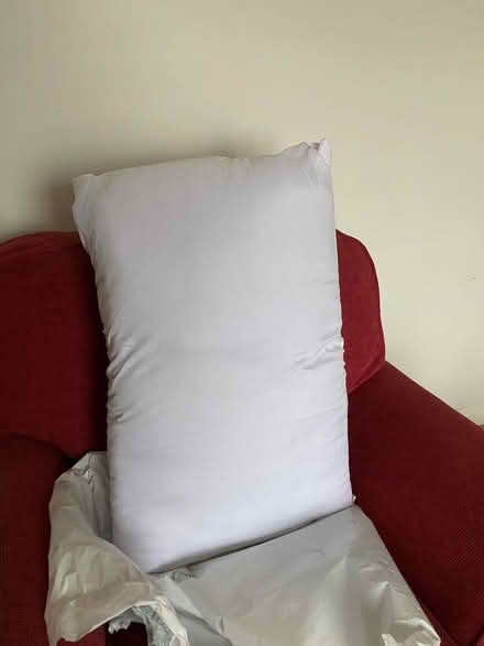 Photo of free Brand new pillow (DE56) #1