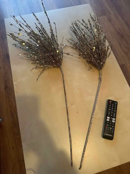 Photo of free Decorative gold sequin branches (Abbey Wood SE2) #4