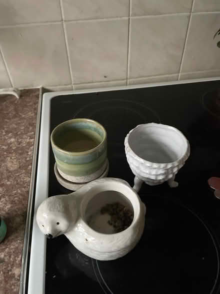 Photo of free Plant pots (Chilwell NG9) #1