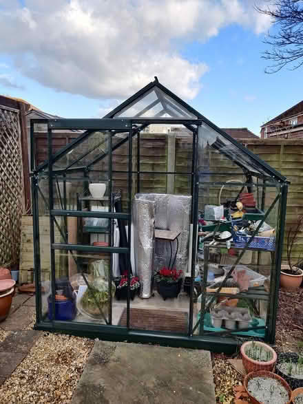 Photo of free 6x4 greenhouse (Downend area of Fareham) #2