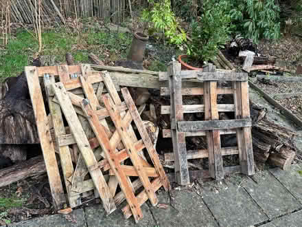 Photo of free Logs and pallet wood (KT16) #1