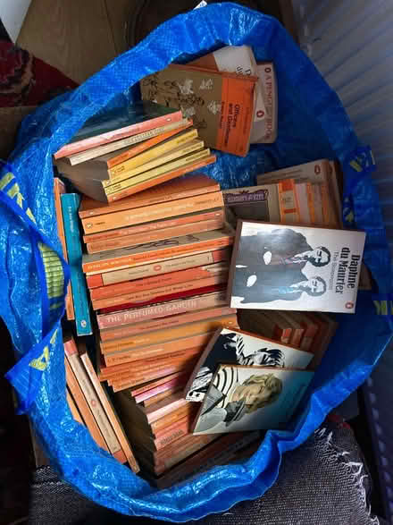 Photo of free big job lot old penguin books (Glastonbury BA6) #1