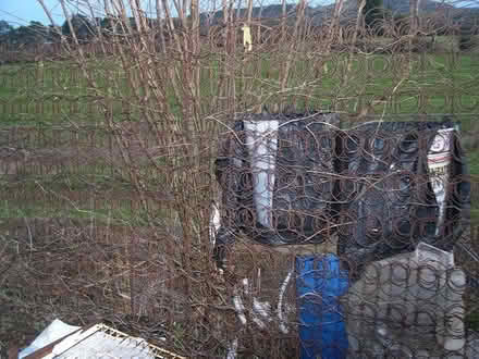 Photo of free Bedspring trellis (Hereford HR1) #1