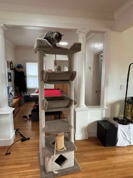 Photo of free Tall Cat Tree (San Rafael) #1