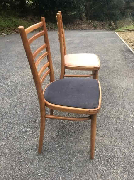 Photo of free Kitchen Chairs (Morcombelake) #2