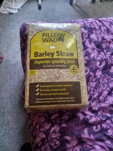 Photo of free Pet straw (Milton PO4) #1